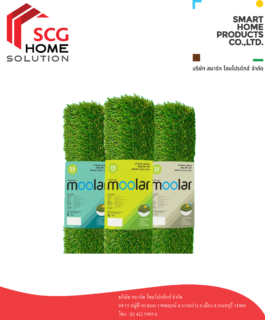 หญ้าเทียม Moolar