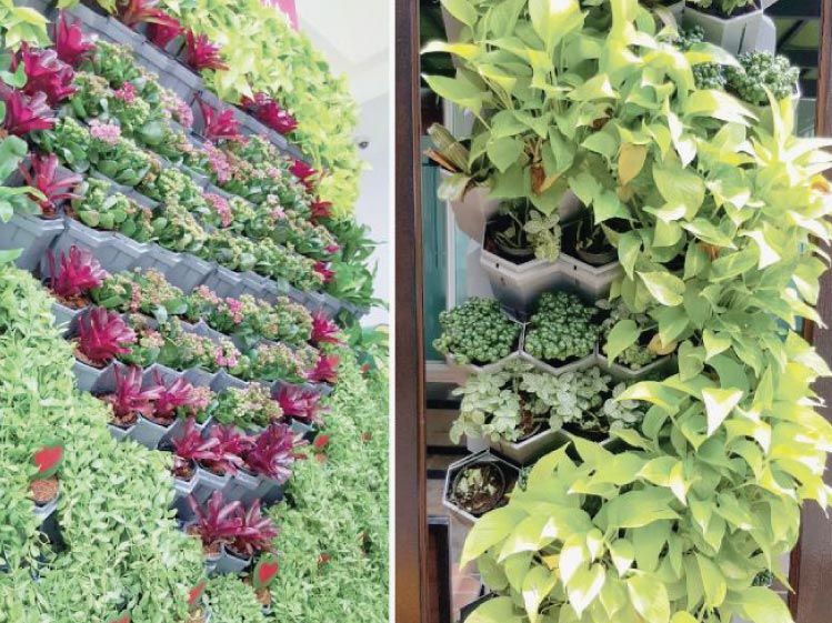 7 วิธี ทำบ้านให้สะอาด อยู่แล้วสุขภาพดี 4 7 วิธี ทำบ้านให้สะอาด อยู่แล้วสุขภาพดี 2
