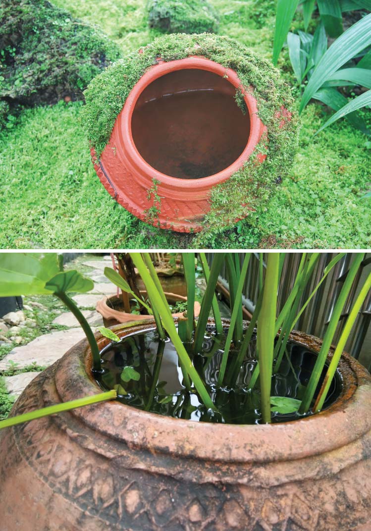 7 วิธี ทำบ้านให้สะอาด อยู่แล้วสุขภาพดี 16 7 วิธี ทำบ้านให้สะอาด อยู่แล้วสุขภาพดี 14