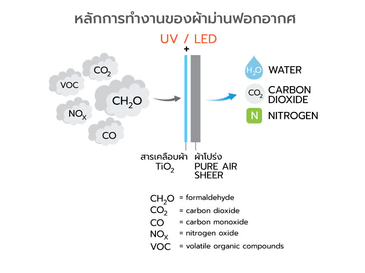 ผ้าม่านเพื่อสุขภาพ ลดสาเหตุเกิดภูมิแพ้ 1