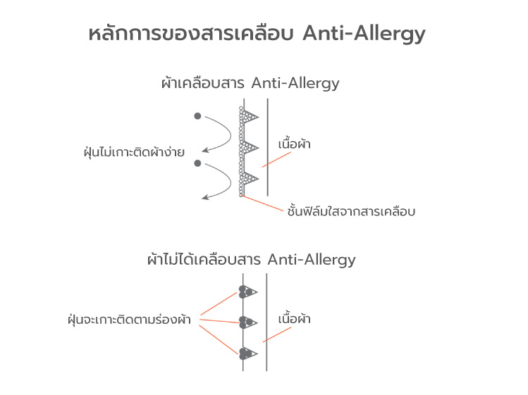 ผ้าม่านเพื่อสุขภาพ ลดสาเหตุเกิดภูมิแพ้ 8