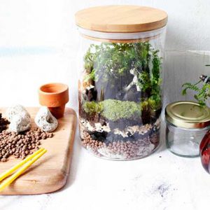 DIY จัดสวนในขวดแก้ว ของแต่งบ้านน่ารักๆ เพิ่มมุมสดชื่นให้บ้าน