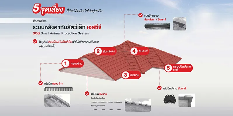 5 วิธีปิดจุดเสี่ยงบนหลังคา ป้องกันนกและสัตว์เล็กยึดบ้าน 5
