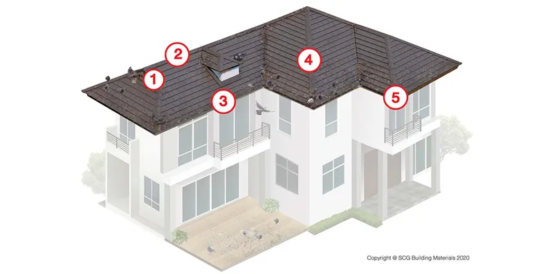 5 วิธีปิดจุดเสี่ยงบนหลังคา ป้องกันนกและสัตว์เล็กยึดบ้าน 6